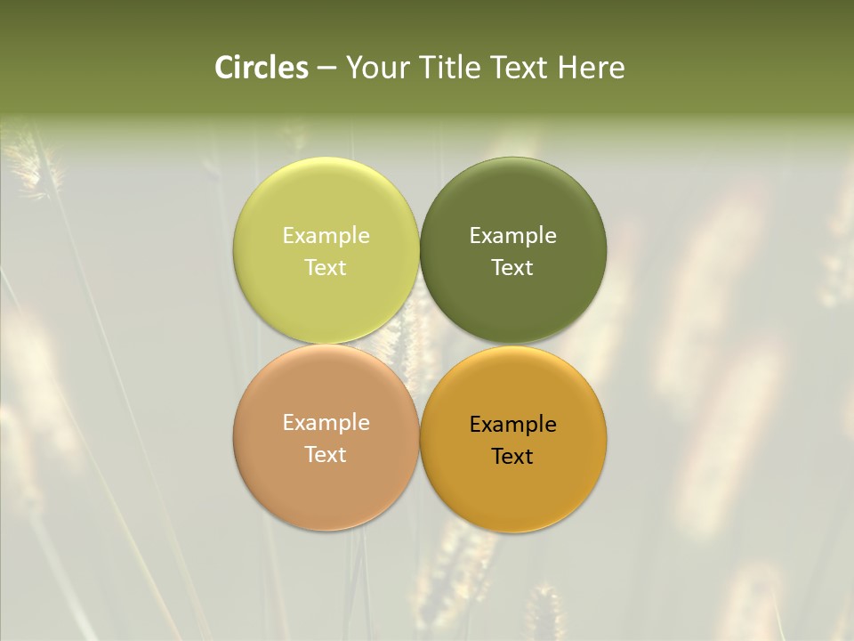 Light Calendar Grass PowerPoint Template