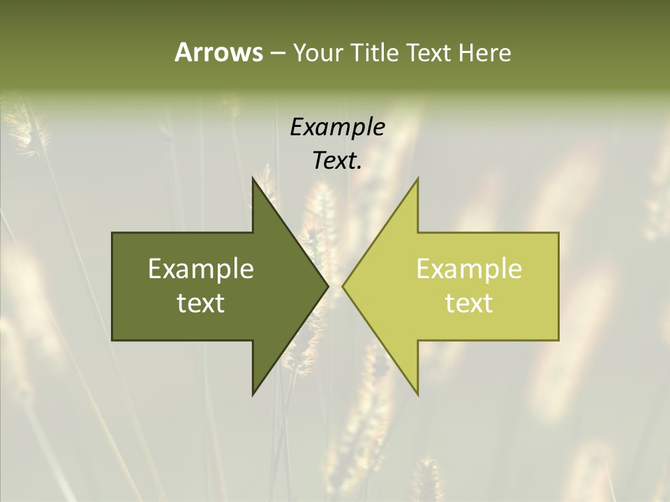 Light Calendar Grass PowerPoint Template