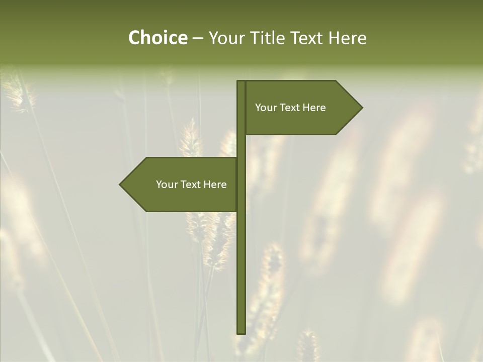 Light Calendar Grass PowerPoint Template