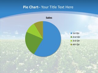 Nature Sun Row PowerPoint Template