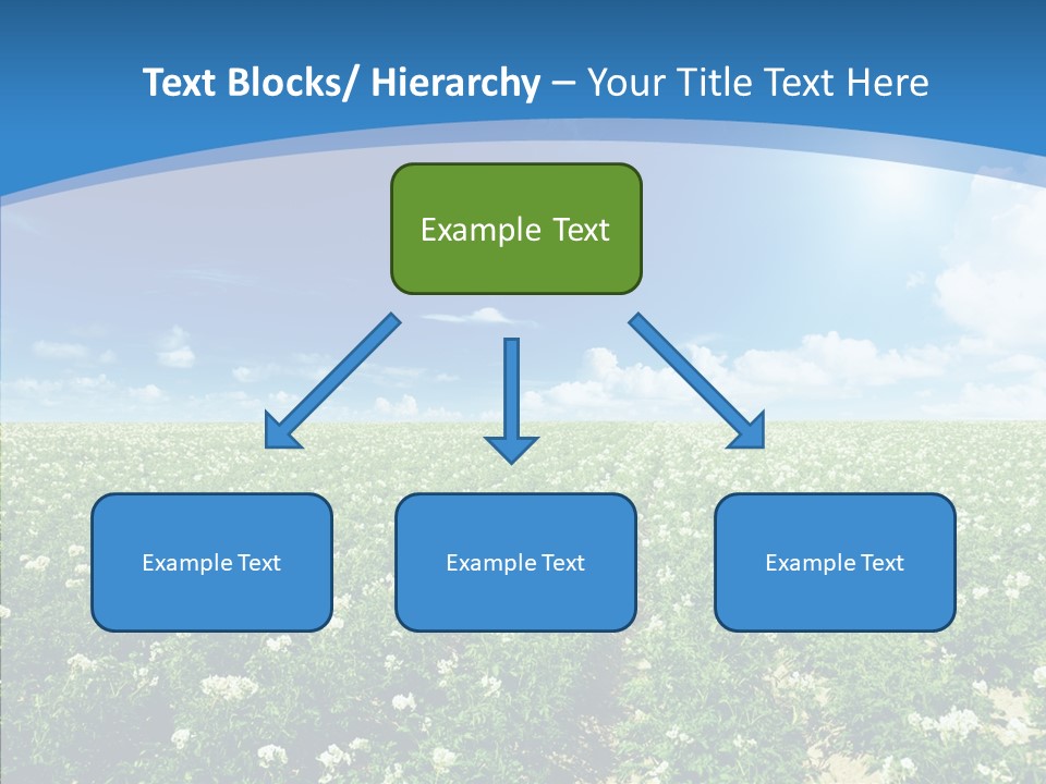 Nature Sun Row PowerPoint Template