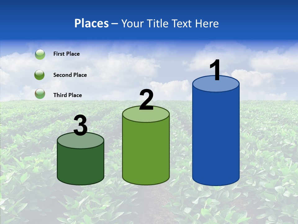 View Farmland Produce PowerPoint Template
