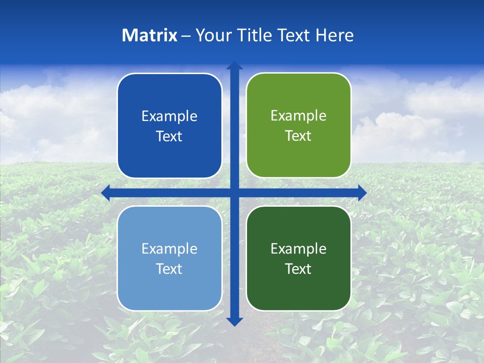 View Farmland Produce PowerPoint Template