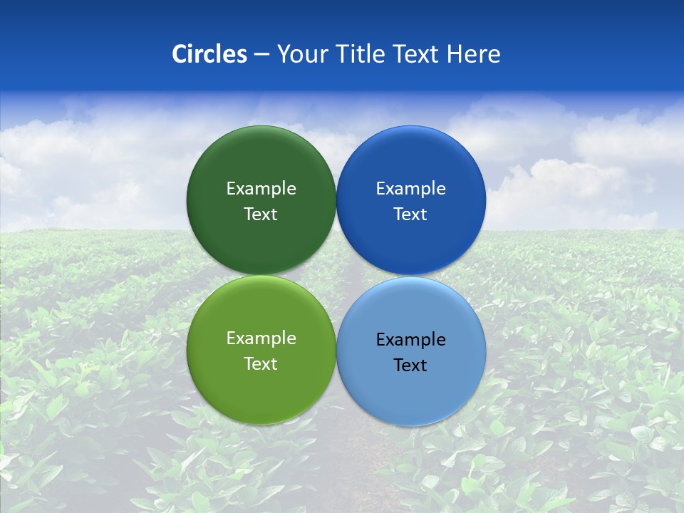 View Farmland Produce PowerPoint Template