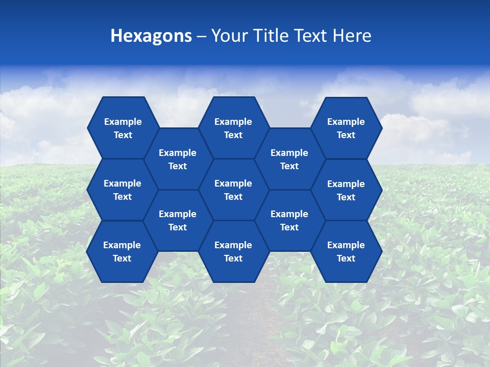 View Farmland Produce PowerPoint Template