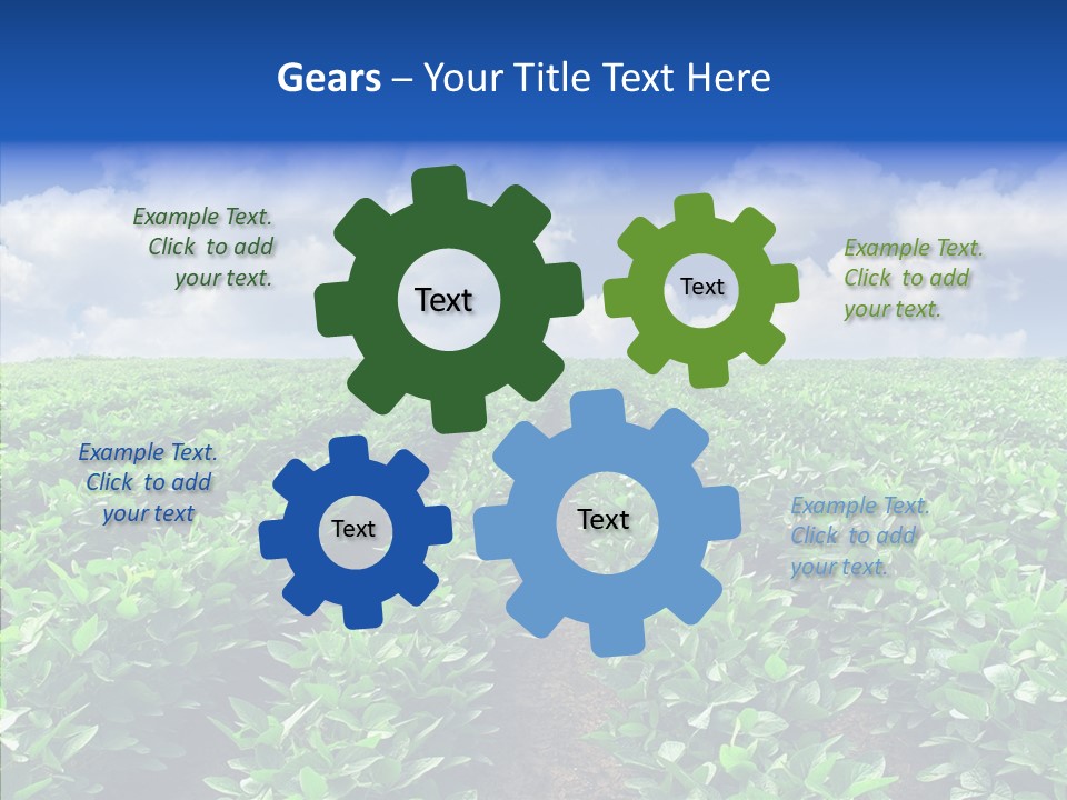 View Farmland Produce PowerPoint Template