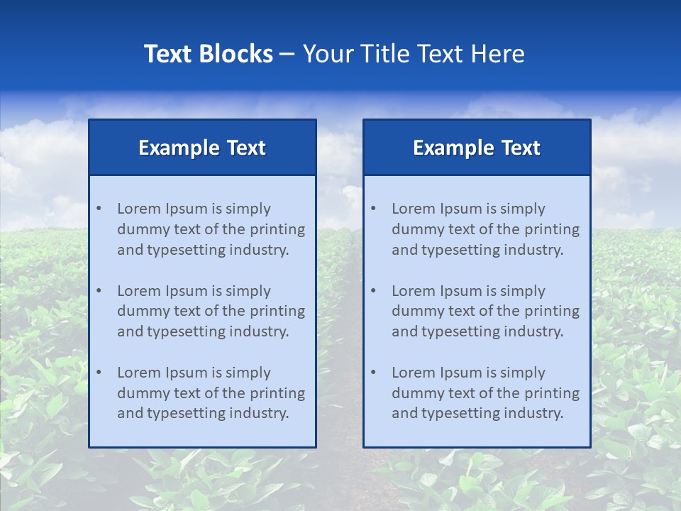 View Farmland Produce PowerPoint Template