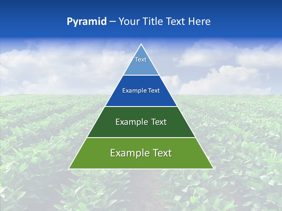 View Farmland Produce PowerPoint Template
