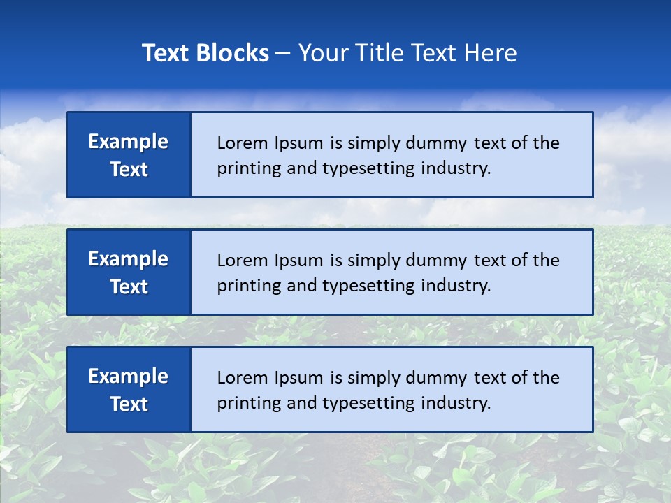 View Farmland Produce PowerPoint Template