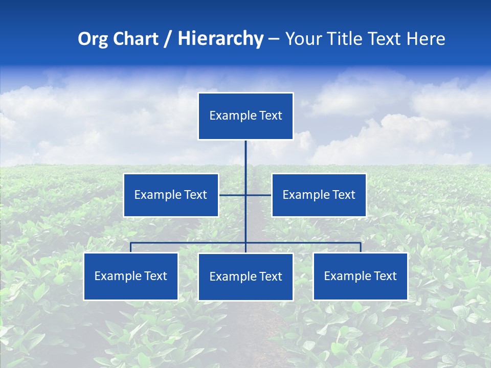 View Farmland Produce PowerPoint Template