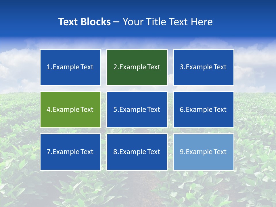 View Farmland Produce PowerPoint Template
