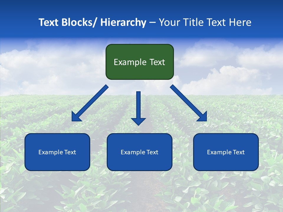 View Farmland Produce PowerPoint Template