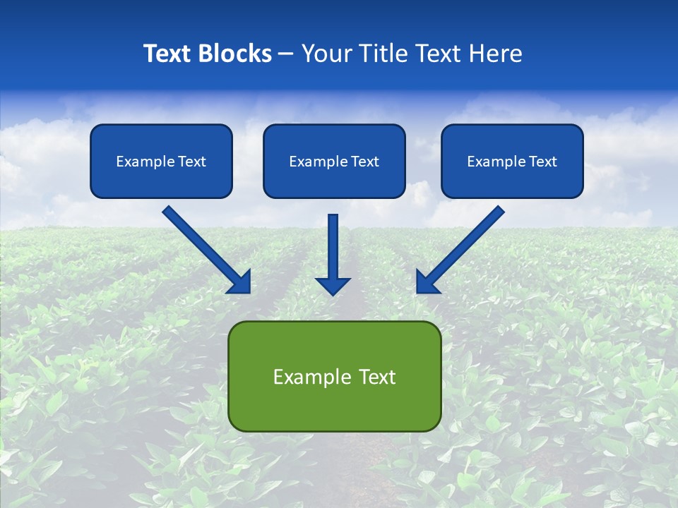 View Farmland Produce PowerPoint Template