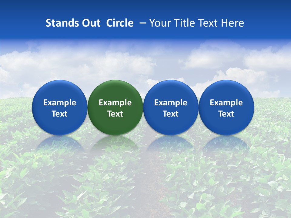 View Farmland Produce PowerPoint Template