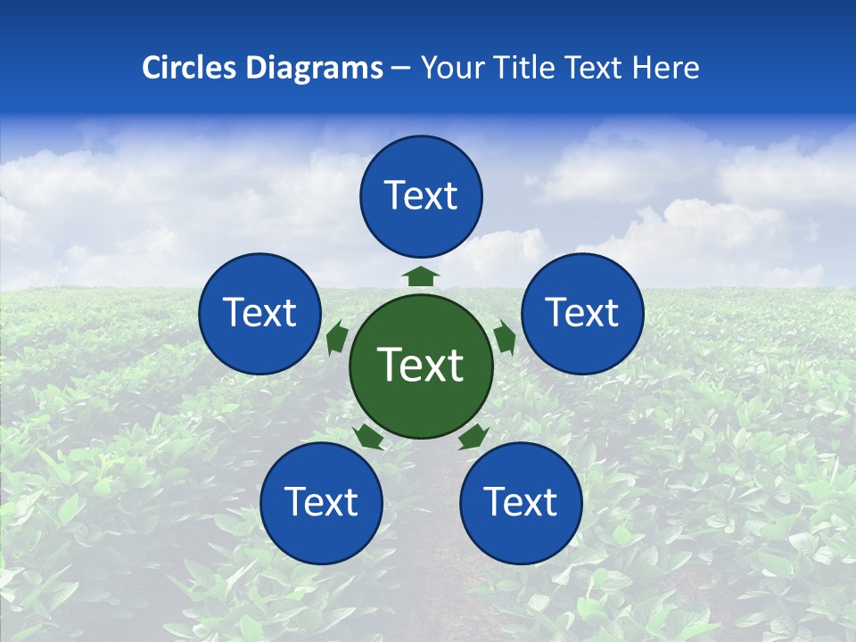 View Farmland Produce PowerPoint Template