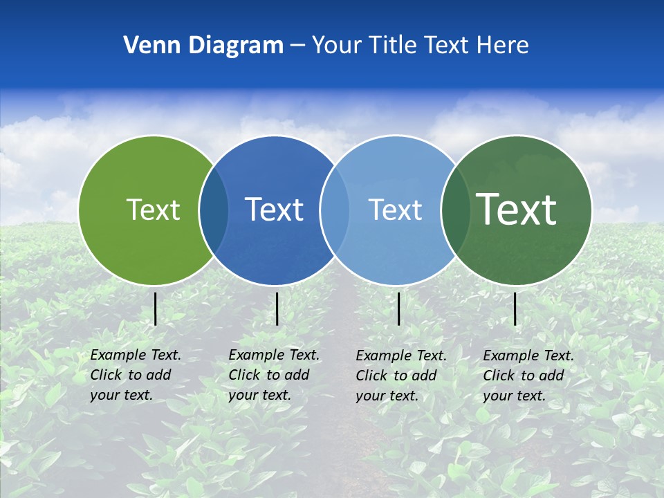 View Farmland Produce PowerPoint Template