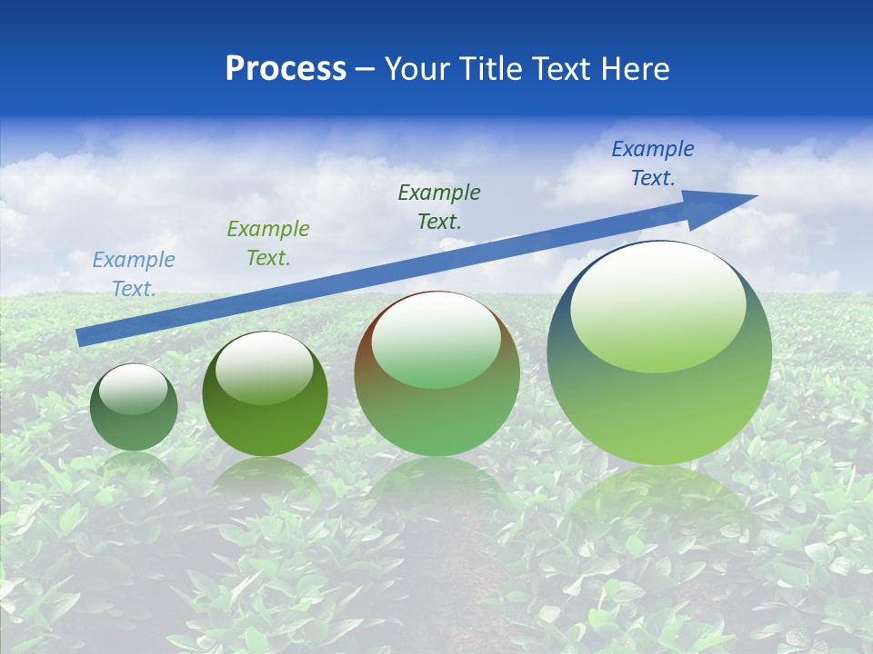 View Farmland Produce PowerPoint Template