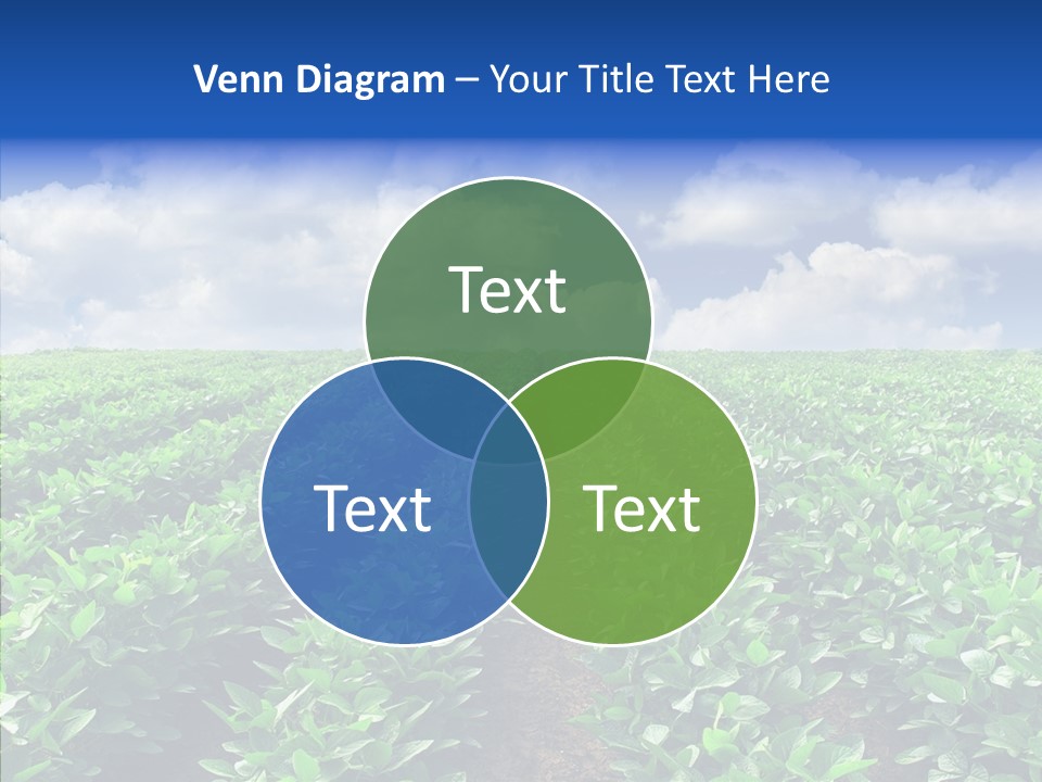 View Farmland Produce PowerPoint Template
