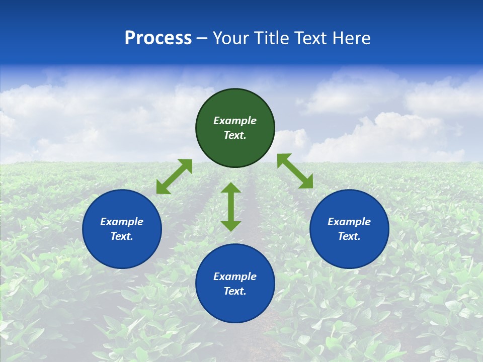 View Farmland Produce PowerPoint Template