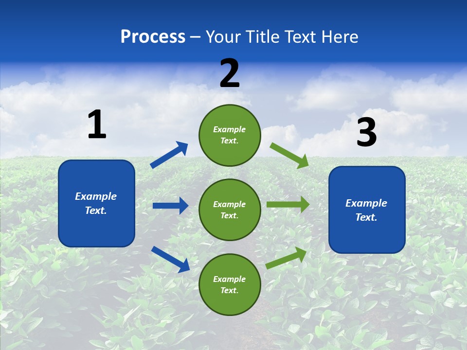 View Farmland Produce PowerPoint Template
