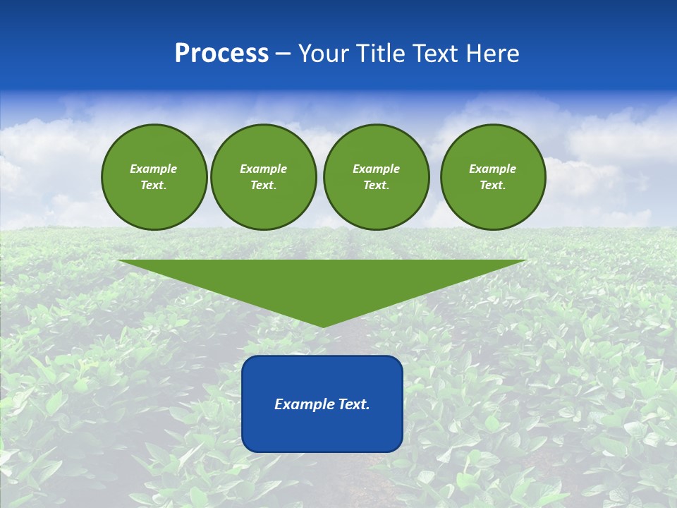 View Farmland Produce PowerPoint Template