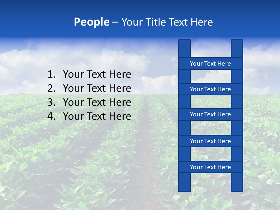 View Farmland Produce PowerPoint Template