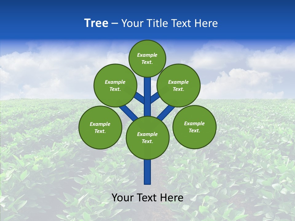 View Farmland Produce PowerPoint Template