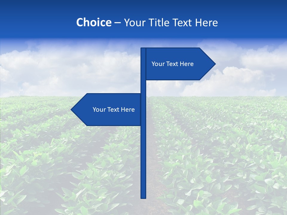 View Farmland Produce PowerPoint Template