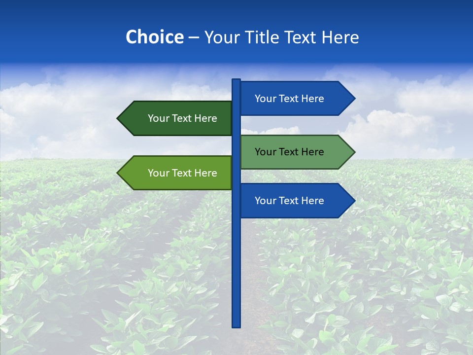 View Farmland Produce PowerPoint Template