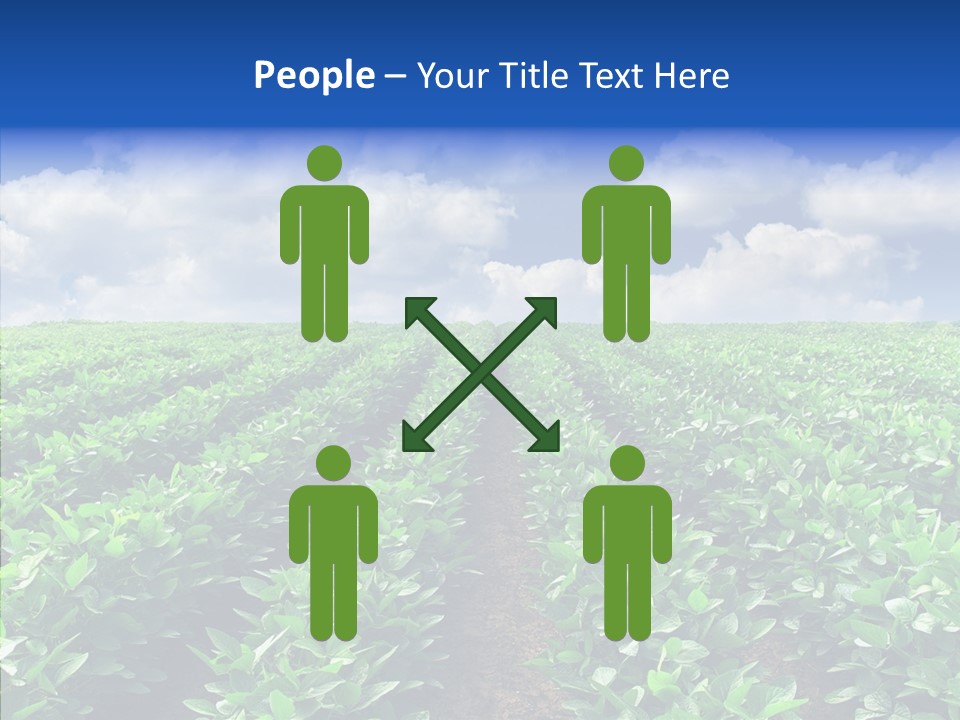 View Farmland Produce PowerPoint Template