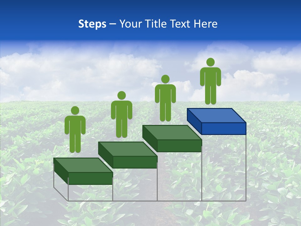 View Farmland Produce PowerPoint Template
