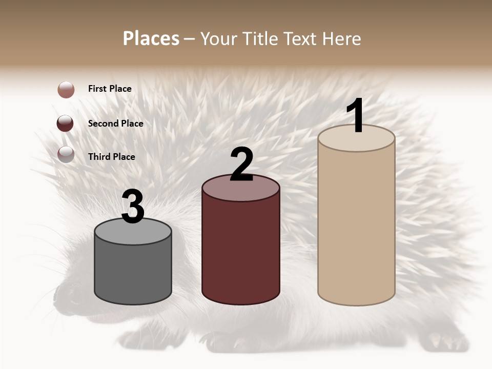 Needle Young Animal Wildlife PowerPoint Template