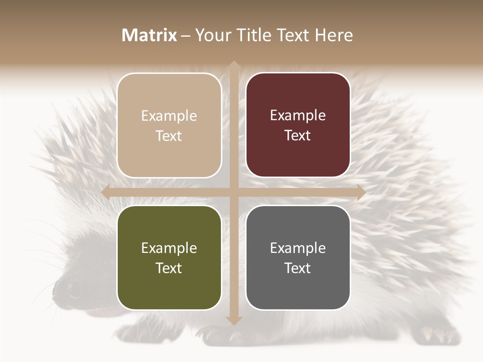 Needle Young Animal Wildlife PowerPoint Template