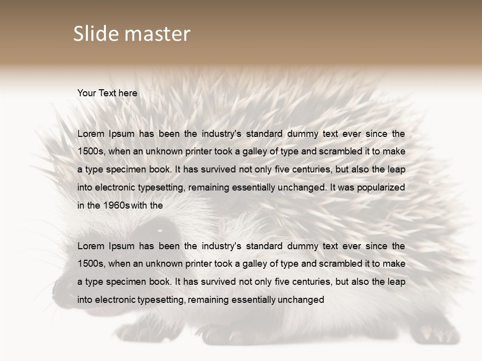 Needle Young Animal Wildlife PowerPoint Template