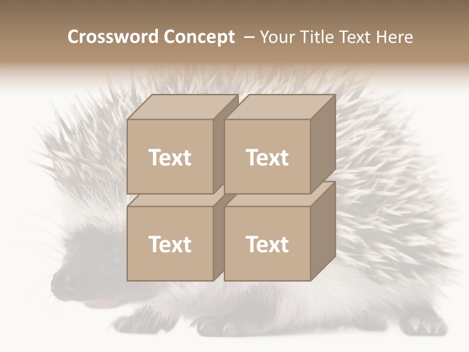 Needle Young Animal Wildlife PowerPoint Template
