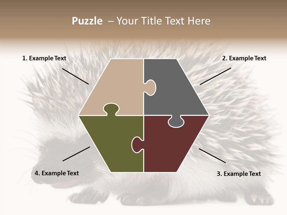 Needle Young Animal Wildlife PowerPoint Template