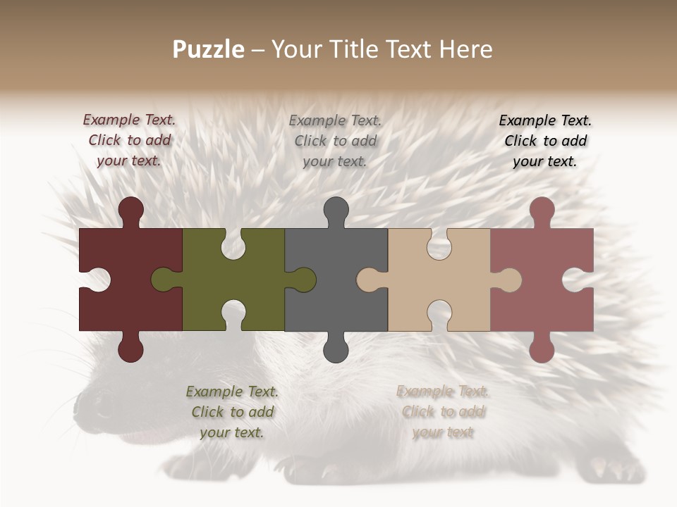 Needle Young Animal Wildlife PowerPoint Template