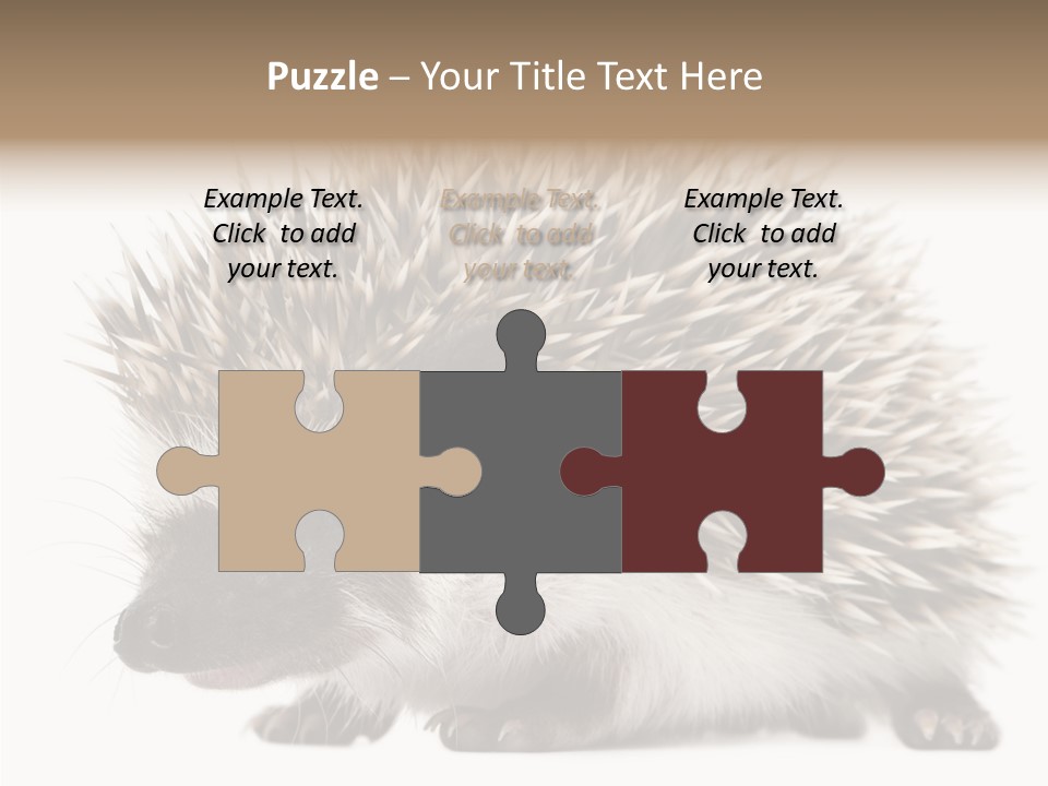 Needle Young Animal Wildlife PowerPoint Template