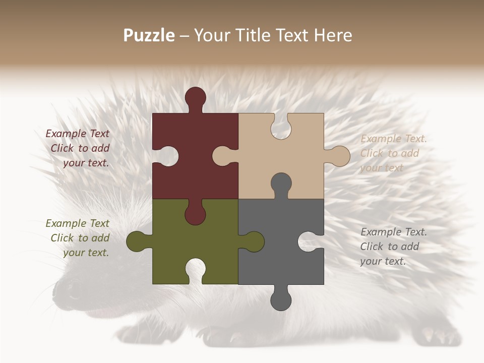 Needle Young Animal Wildlife PowerPoint Template