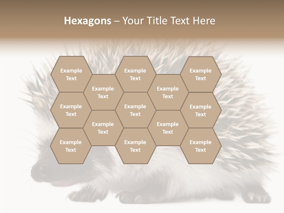 Needle Young Animal Wildlife PowerPoint Template