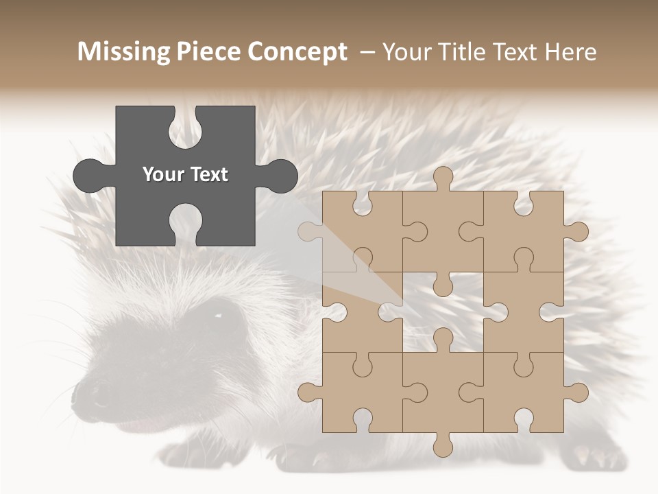 Needle Young Animal Wildlife PowerPoint Template