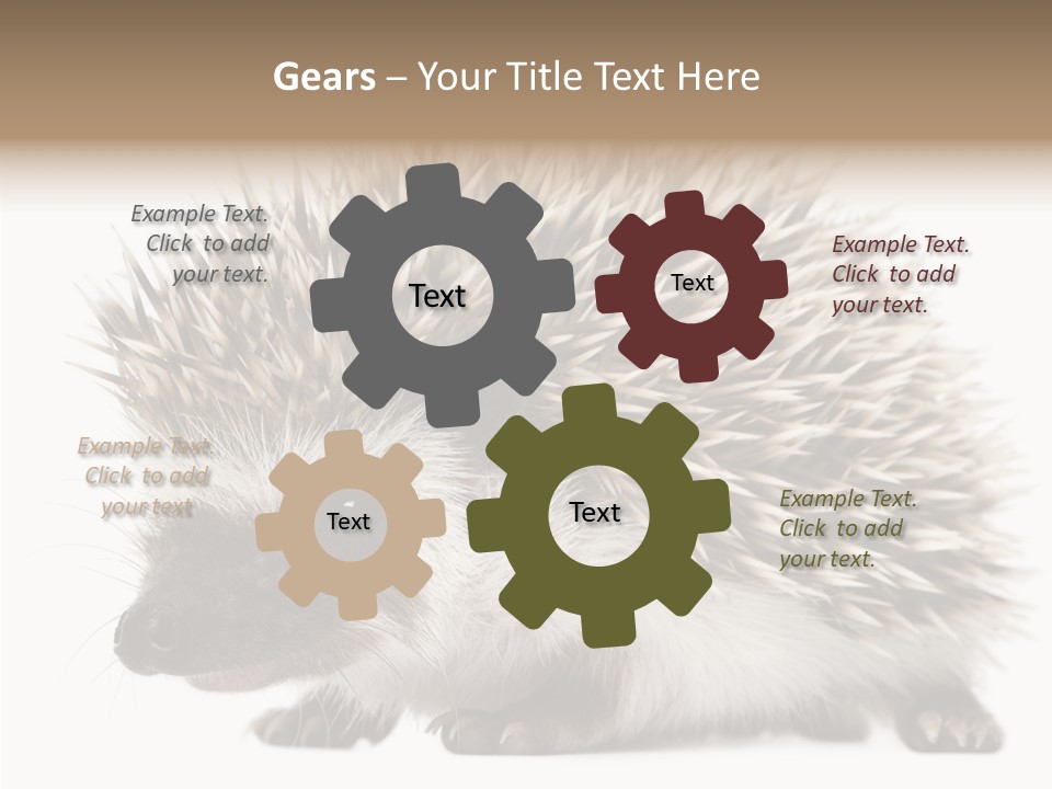 Needle Young Animal Wildlife PowerPoint Template