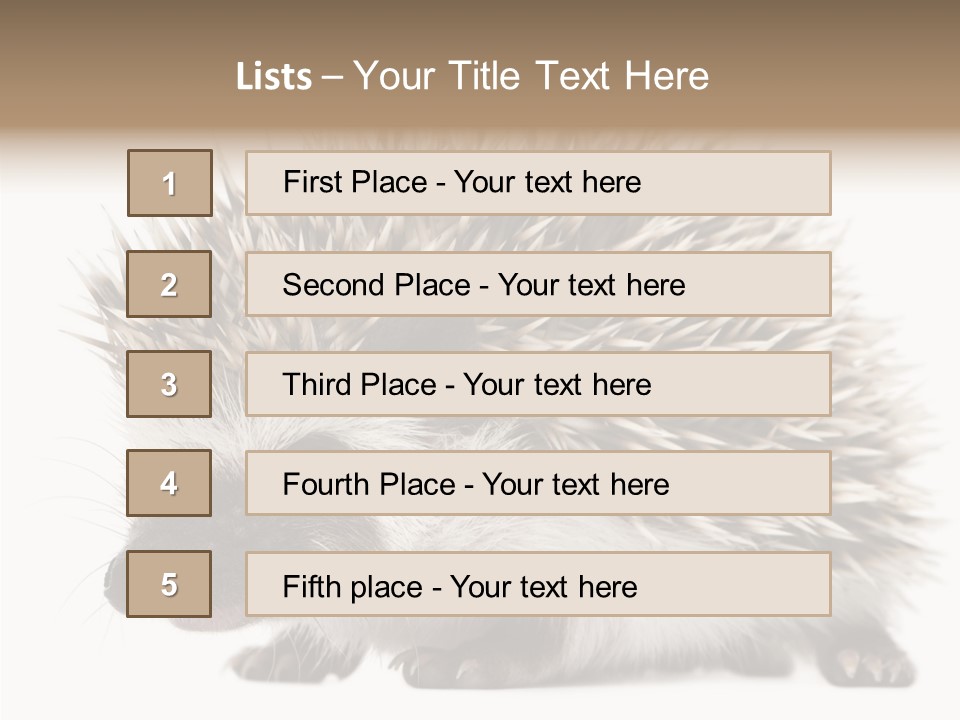Needle Young Animal Wildlife PowerPoint Template
