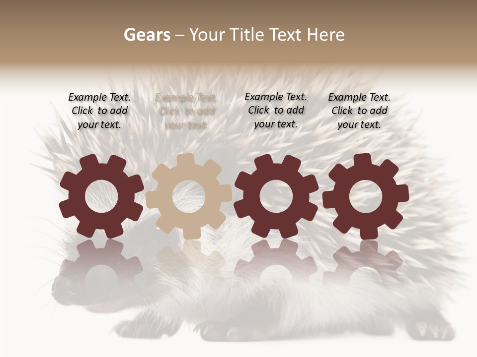 Needle Young Animal Wildlife PowerPoint Template