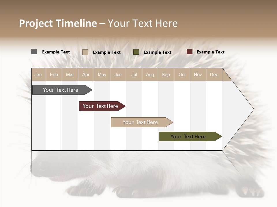 Needle Young Animal Wildlife PowerPoint Template