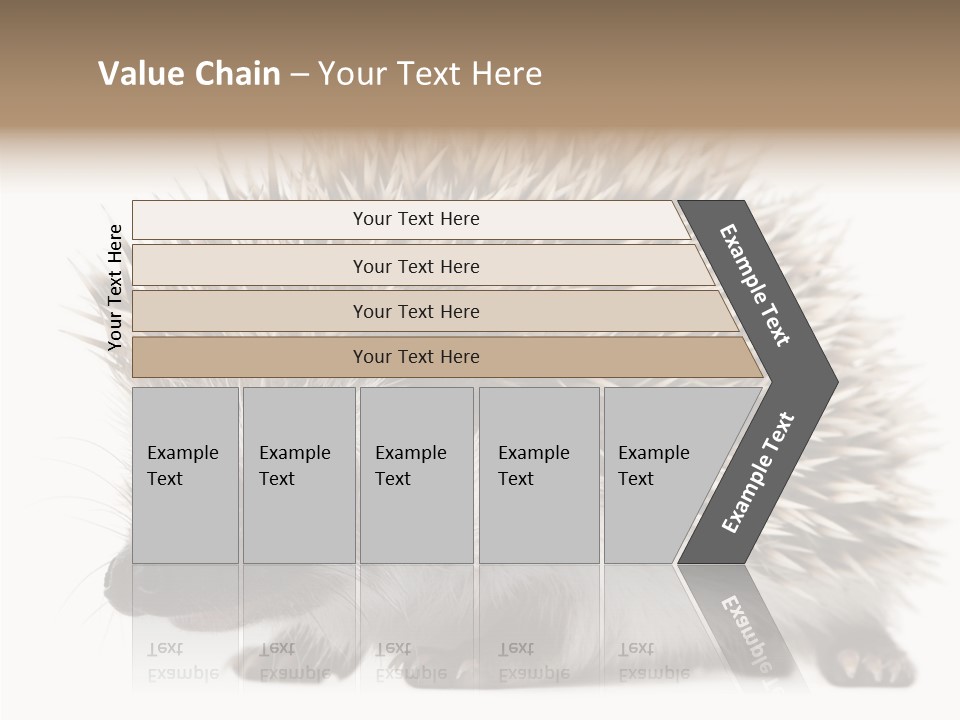 Needle Young Animal Wildlife PowerPoint Template