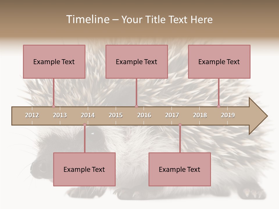 Needle Young Animal Wildlife PowerPoint Template