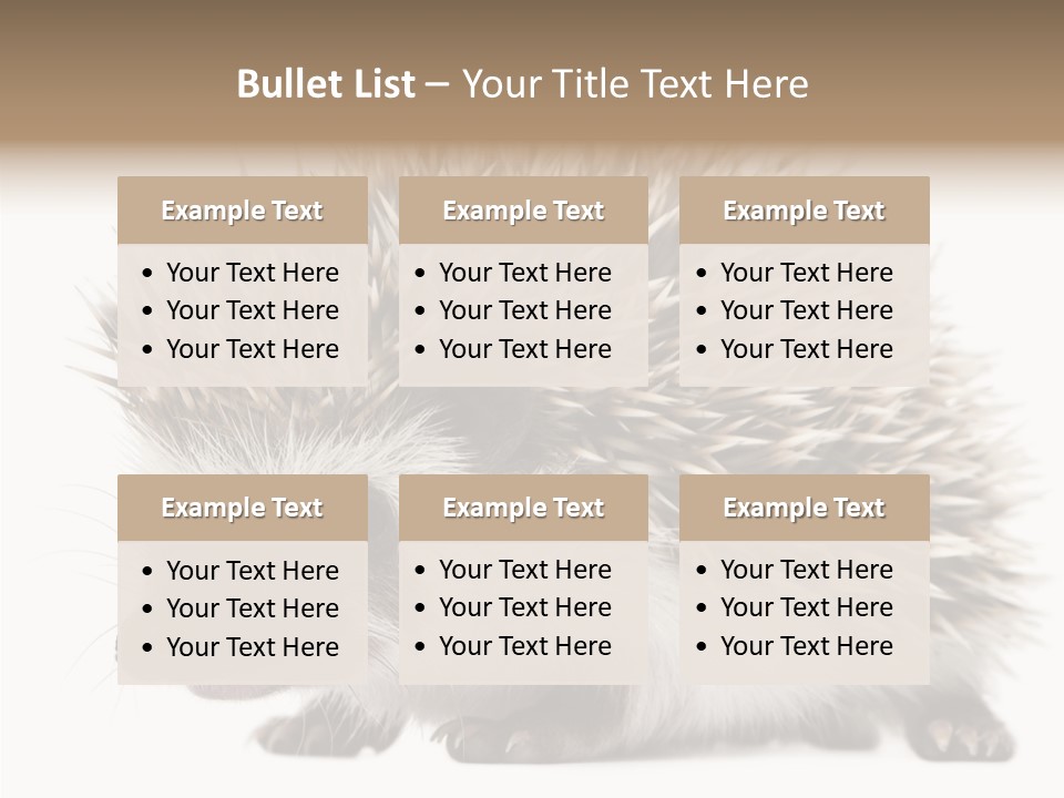 Needle Young Animal Wildlife PowerPoint Template