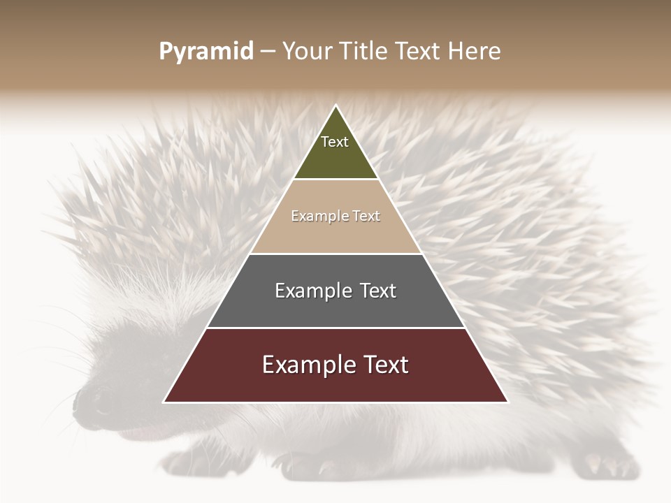 Needle Young Animal Wildlife PowerPoint Template