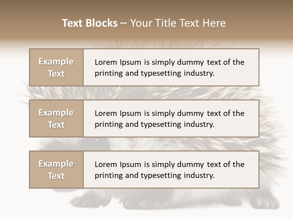 Needle Young Animal Wildlife PowerPoint Template